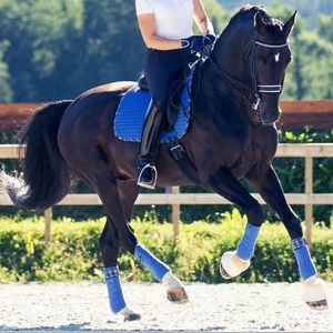 Polo Wraps for Horses!